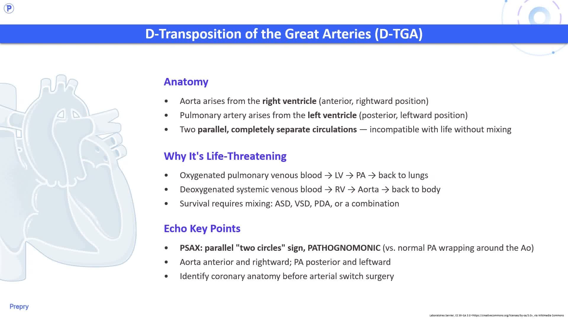 5.2 Congenital Heart Disease (Part 2)