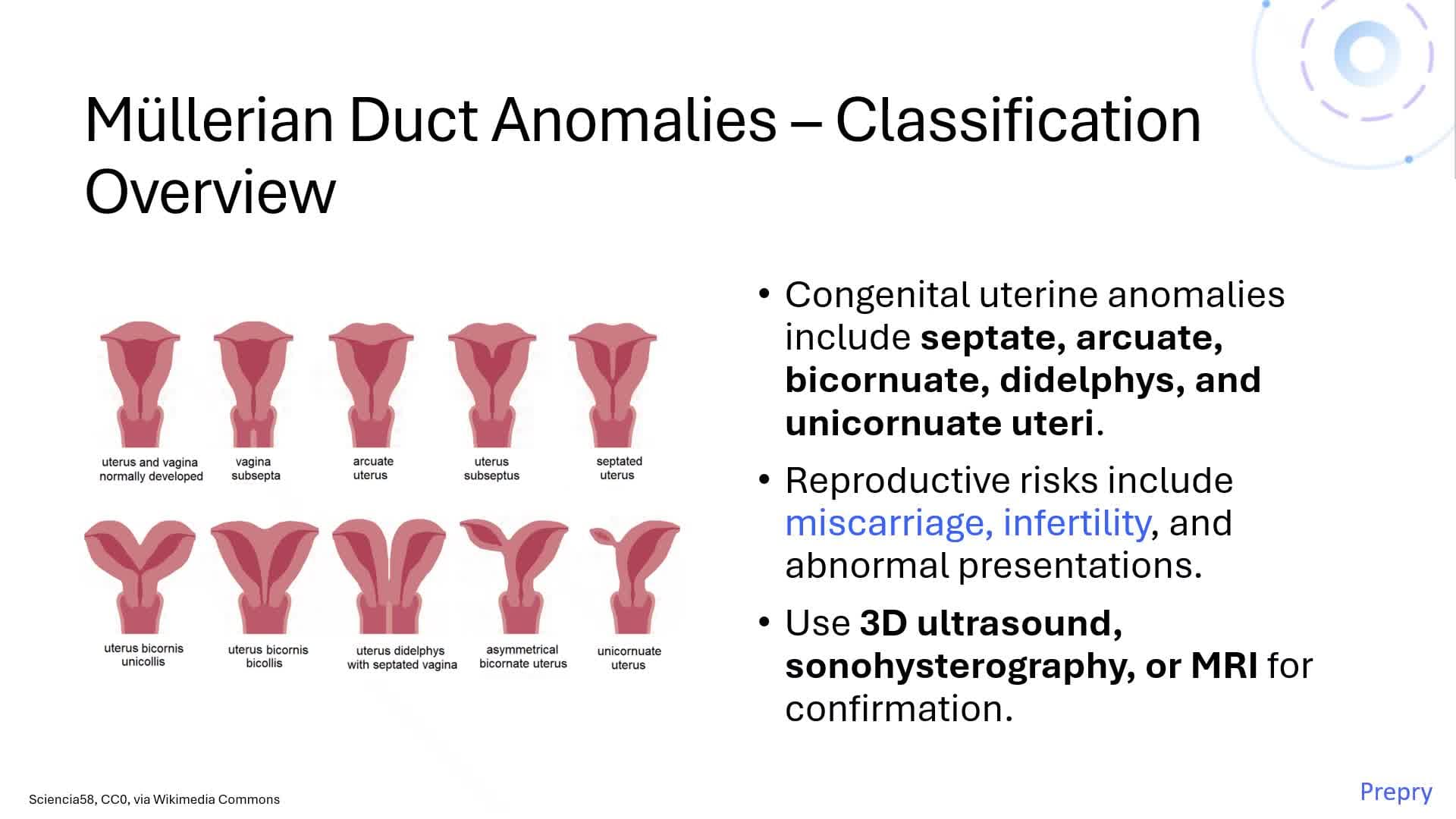 Unit 2.2 Uterine Anatomy