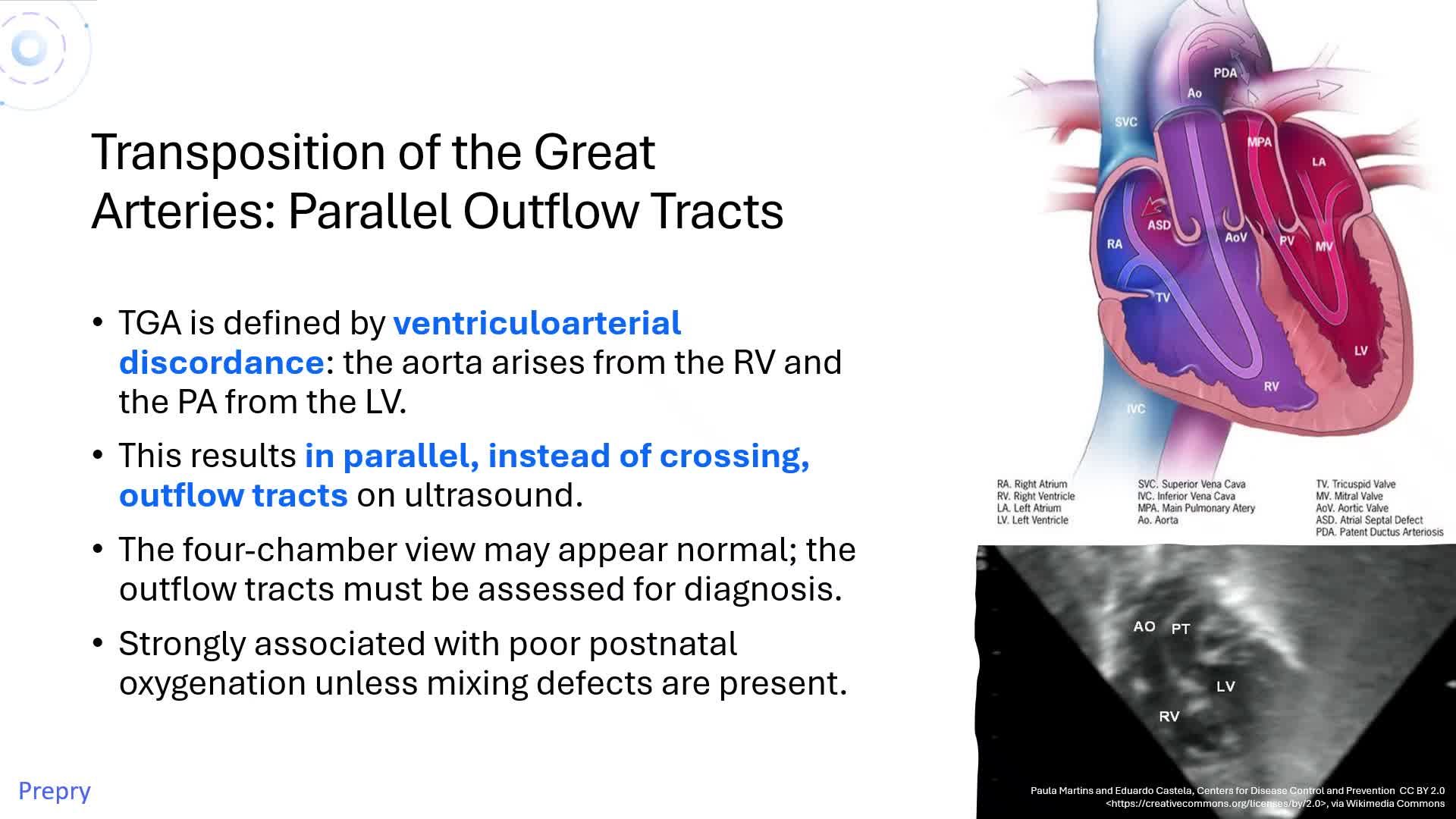 Unit 17 Cardiac Abnormalities