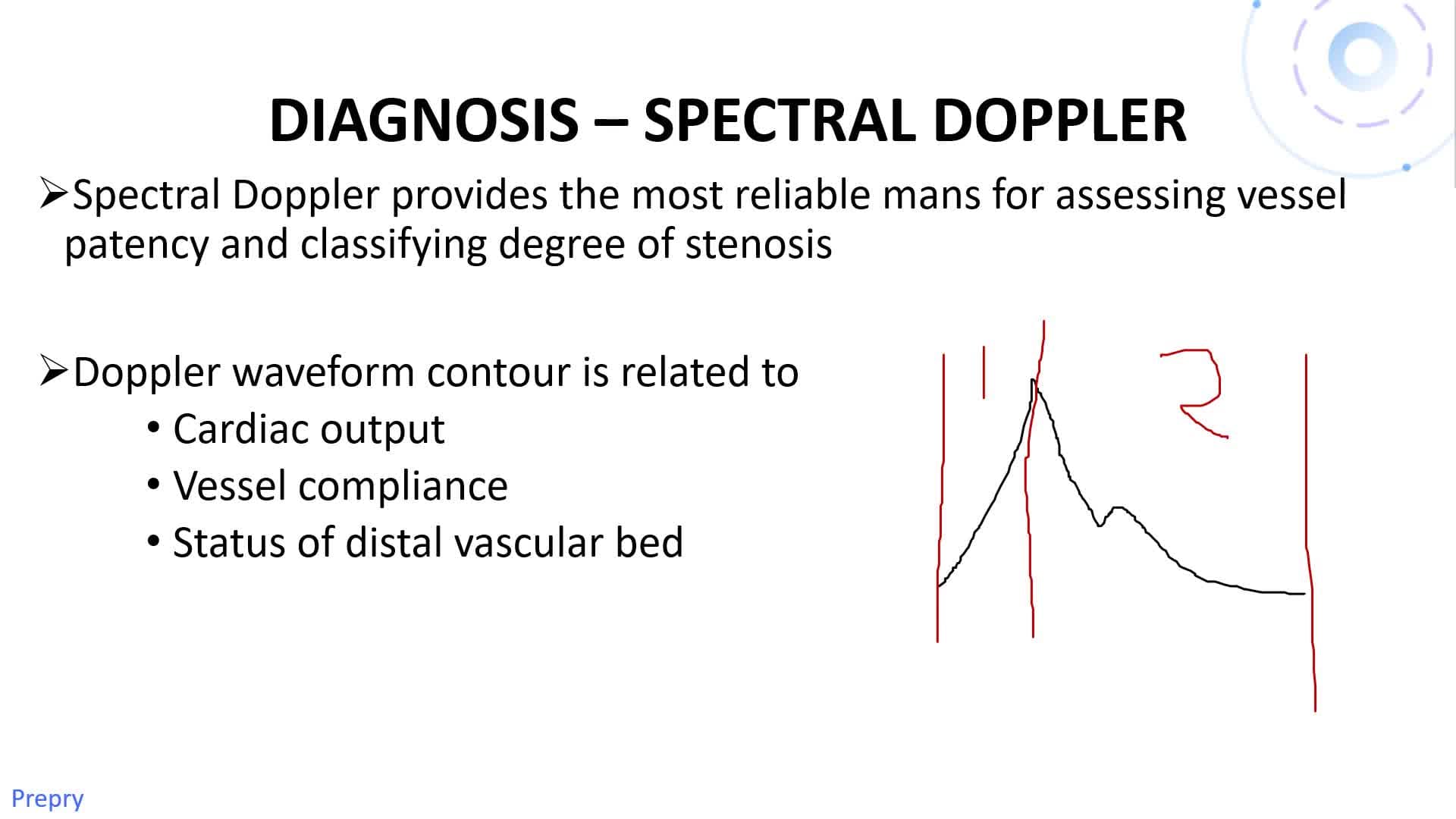 ExtraCranial Cerebrovascular v1