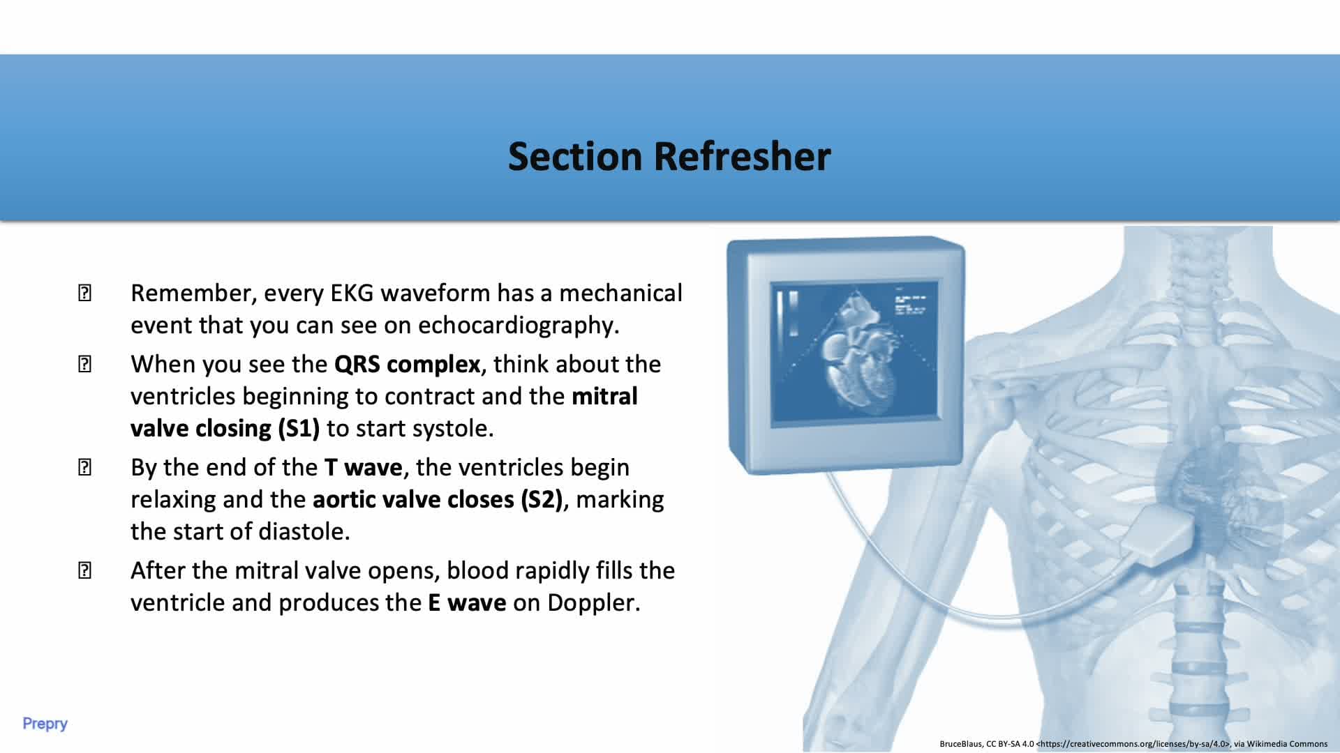 2.2 Anatomy — Right Atrial Variants