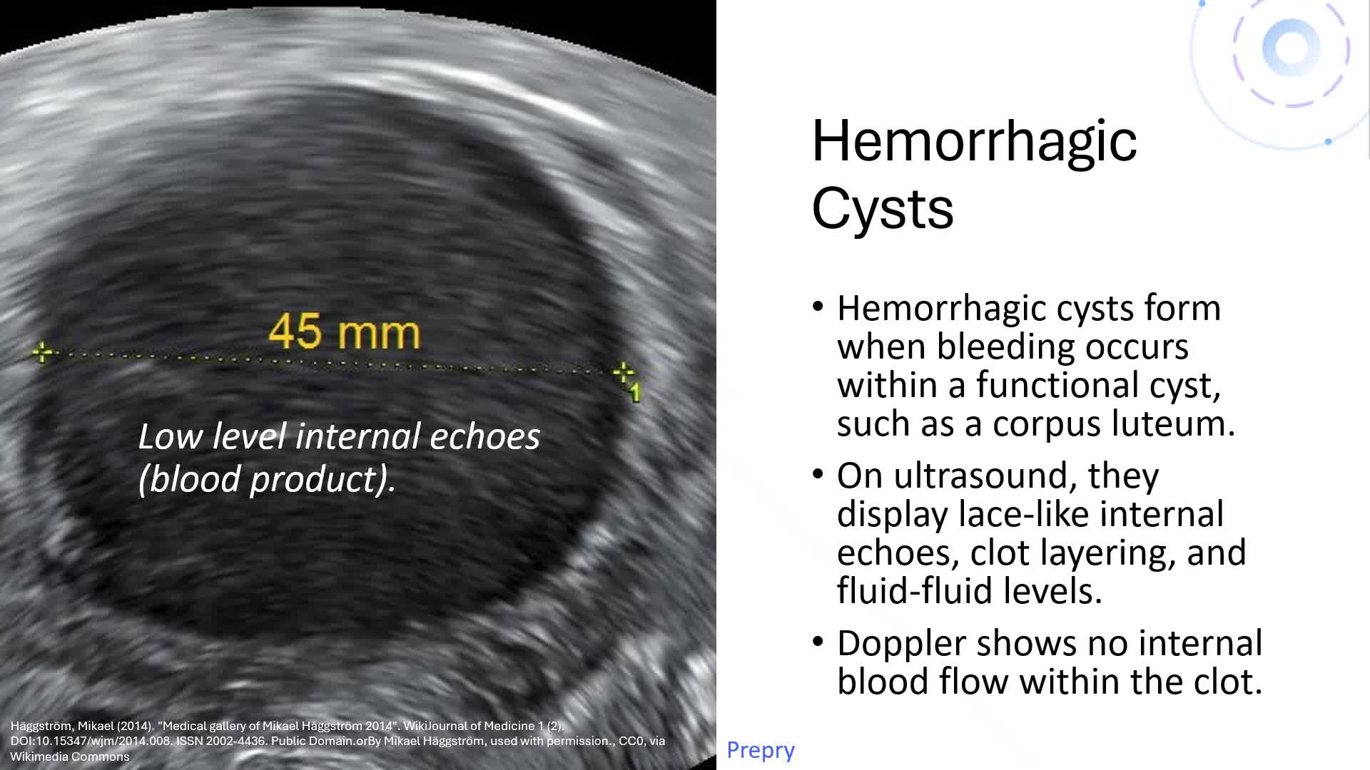 Unit 4 Ovarian Anatomy and Physiology