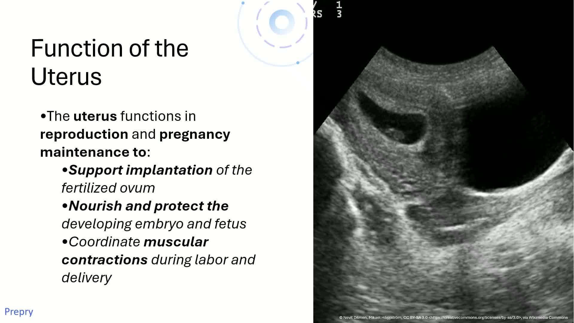 Unit 1 Introduction to Gynecology and Pelvic Anatomy Pt 1