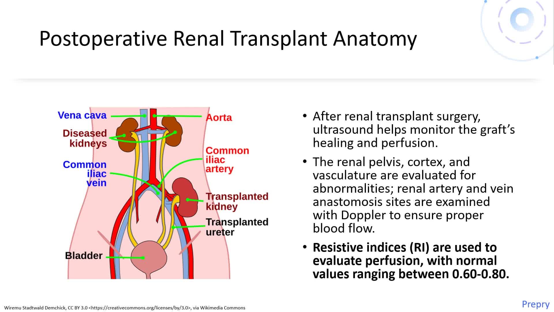 Abdominal Transplants and Postoperative Assessment - Part 1