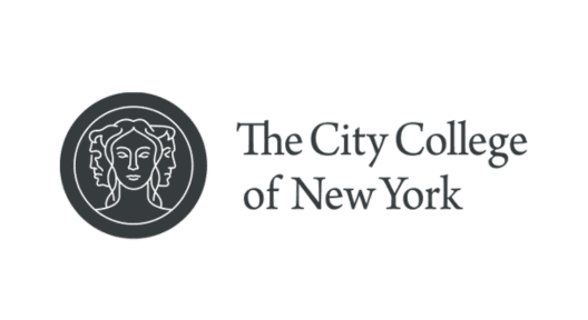 Partner University 5