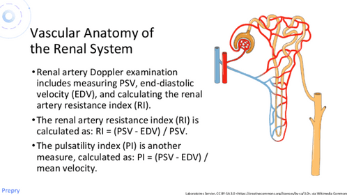 Exciting News for Sonography Professionals: New Abdominal Registry Review Series in the Works!